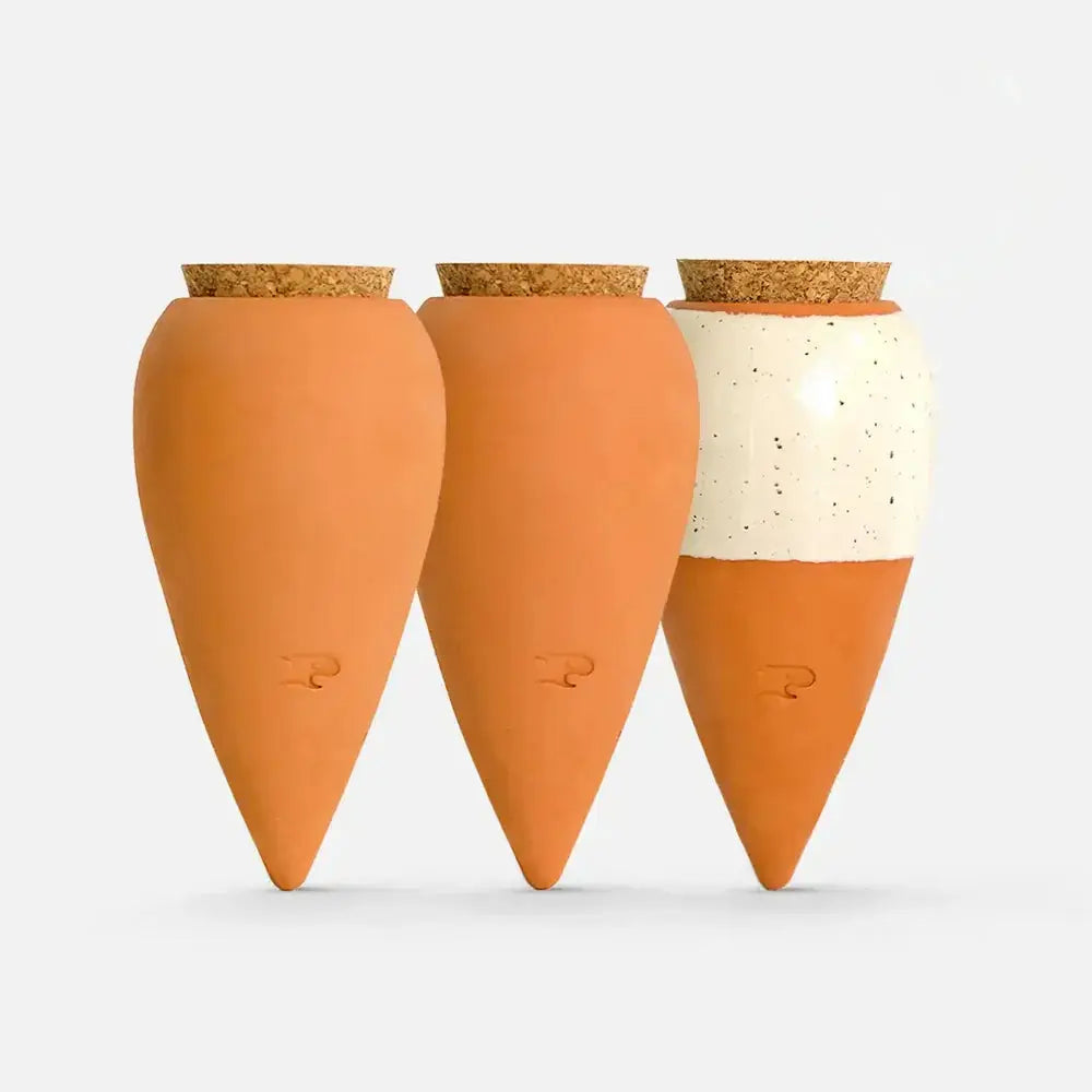 Olla mini plante – Coffret de 3 diffuseurs d’eau naturel - Les curieuses