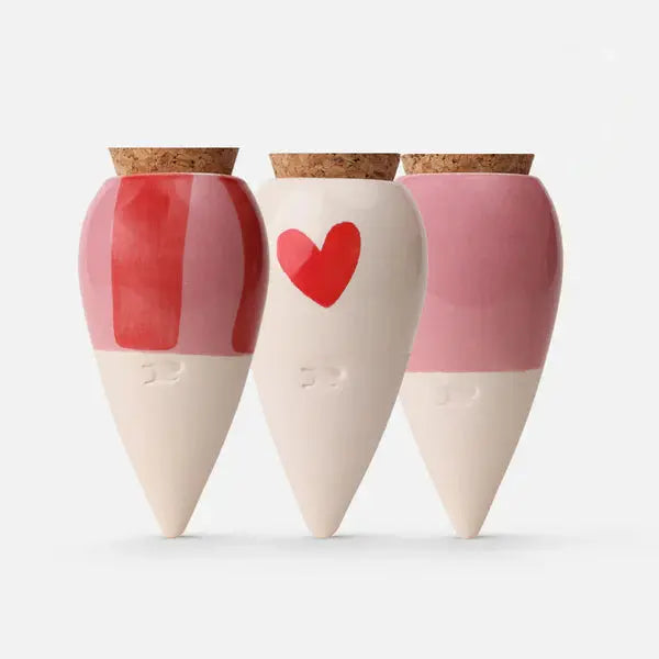Olla mini plante – Coffret de 3 diffuseurs d’eau naturel - Les curieuses