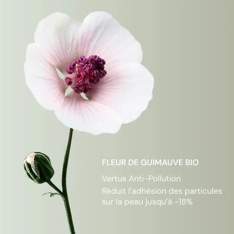 Gel crème hydratant visage anti-pollution – What Matters