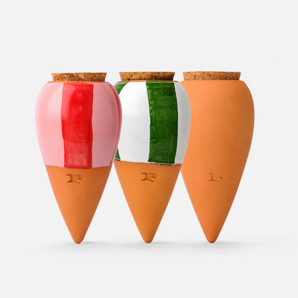 Olla mini plante – Coffret de 3 diffuseurs d’eau naturel - Les curieuses