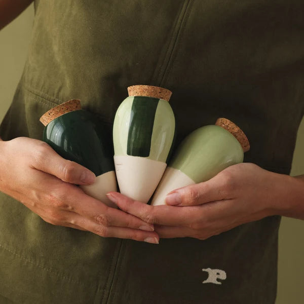 Olla mini plante – Coffret de 3 diffuseurs d’eau naturel Pépin